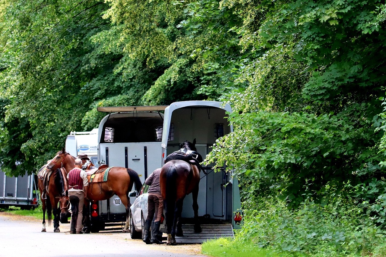 Quelques conseils pour choisir son école de cheval